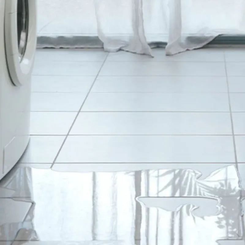 Appliance Leak Cleanup in Belleville, WI
