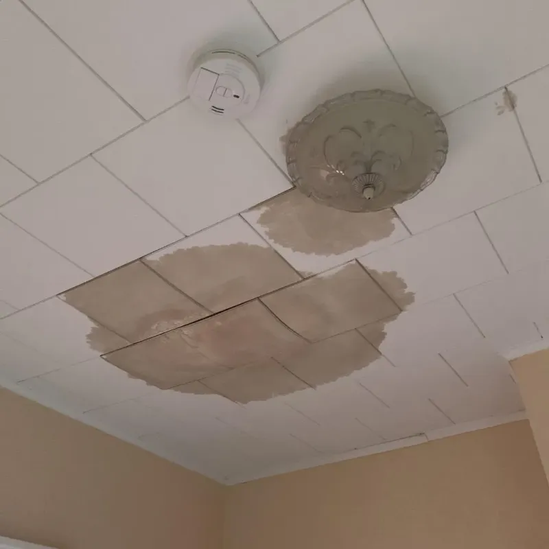 Ceiling Water Damage Repair in Belleville, WI