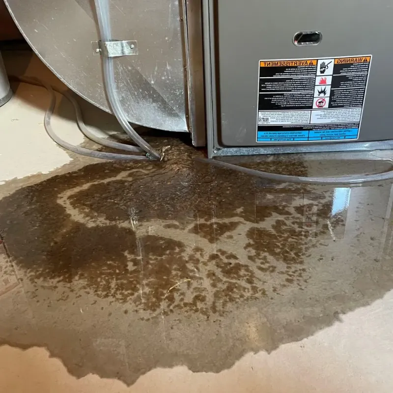 Pipe Burst and Leak Restoration in Belleville, WI