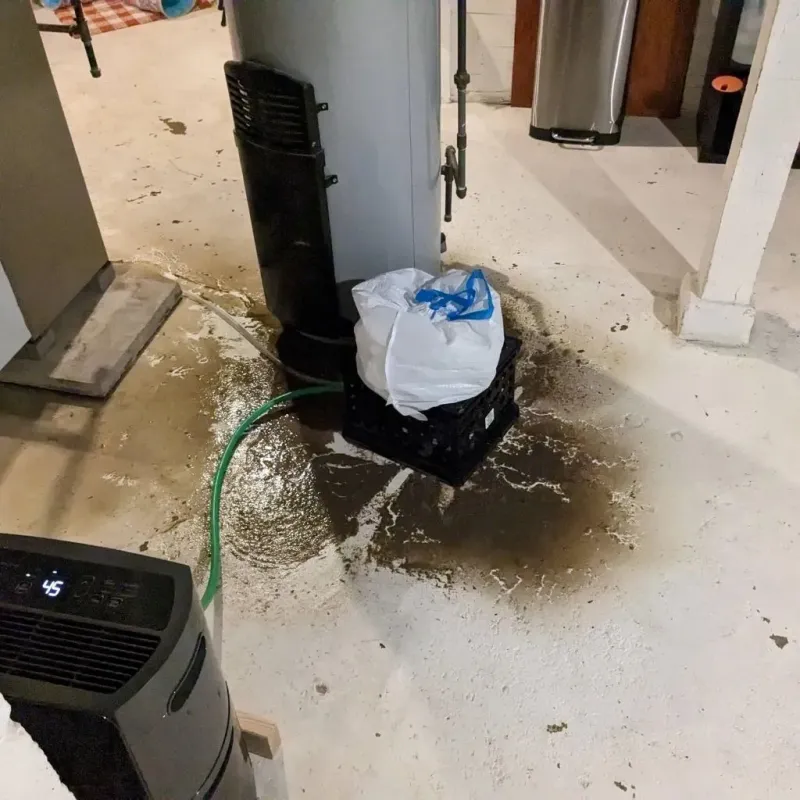 Sewage Backup Cleanup Service in Belleville, WI